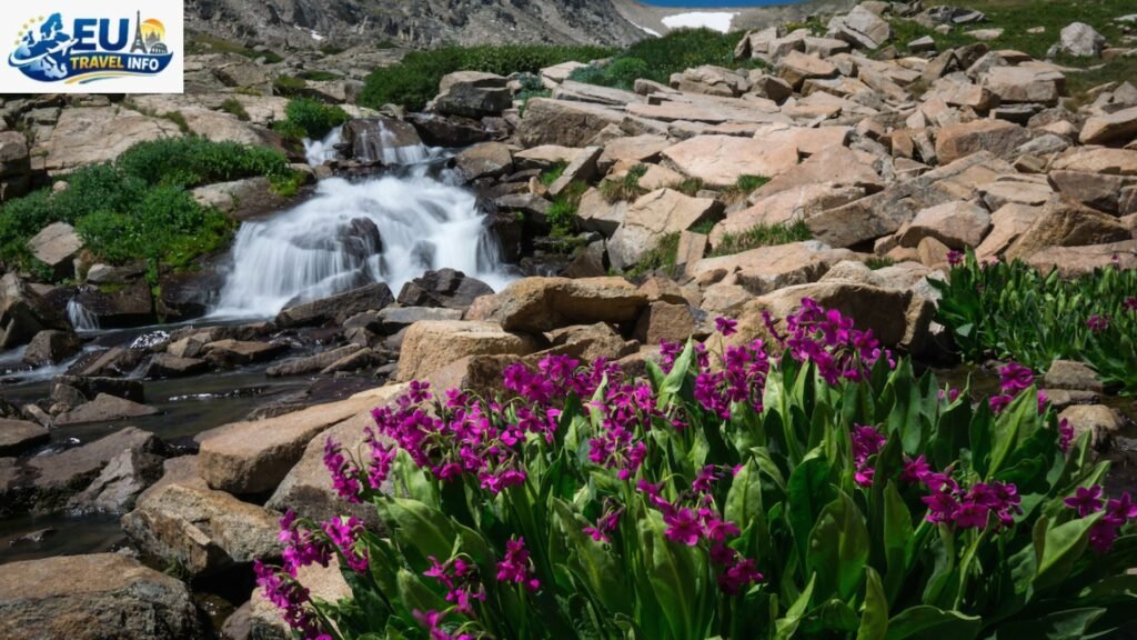 May Wildflowers and Waterfalls