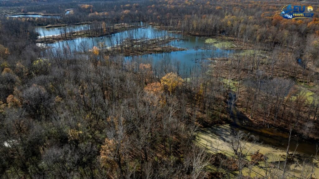 how long flight to europe