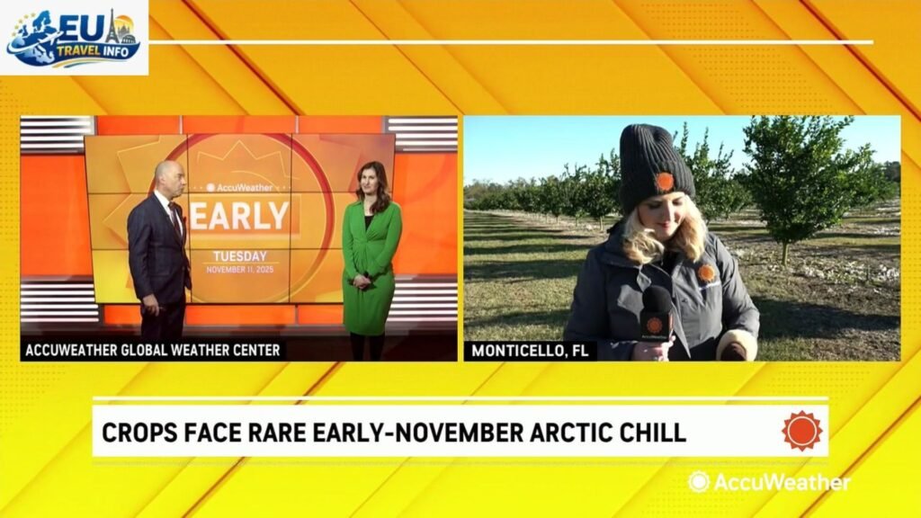 November The Early Chill