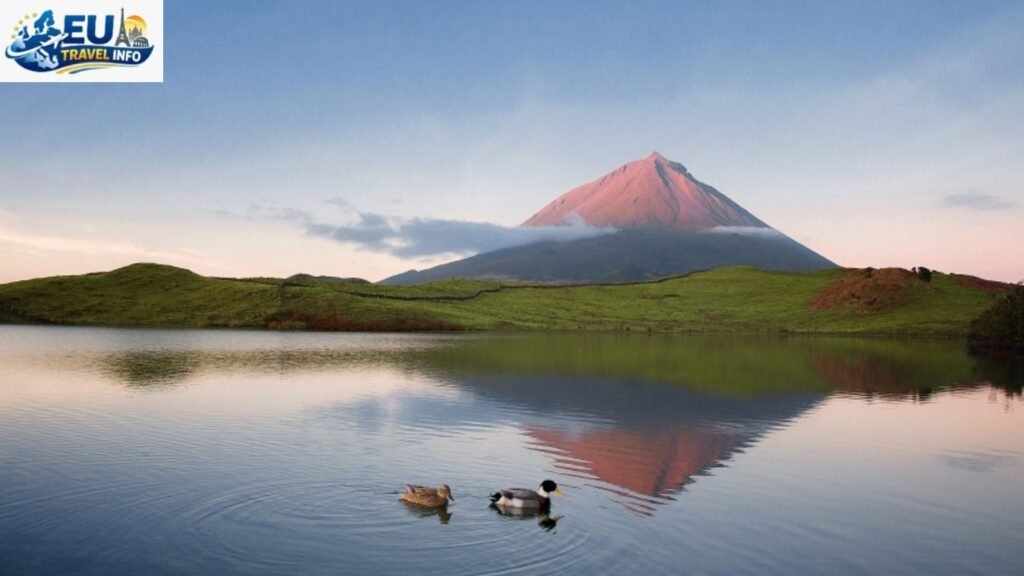 Pico – The Grey Island