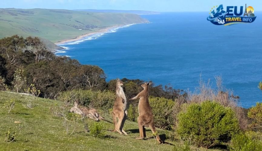 Planning Your 2026 Adventure