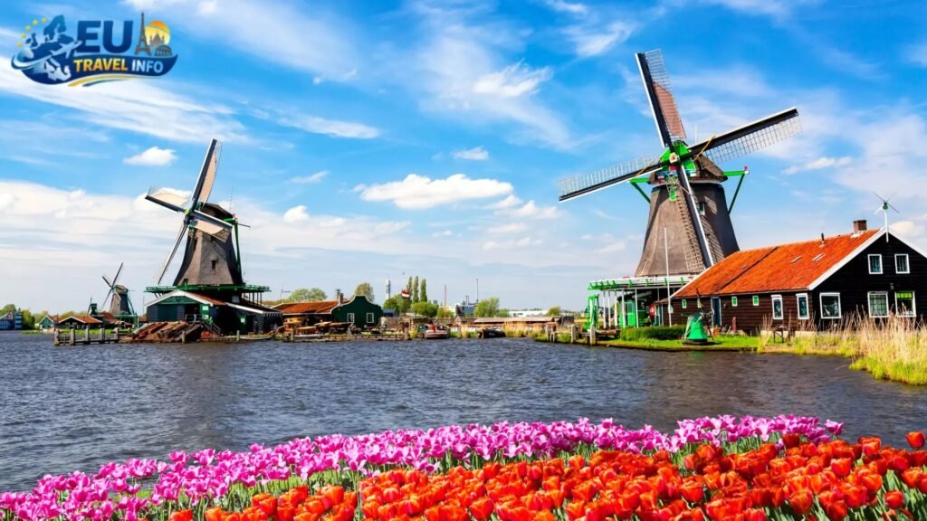 Prepare for Your Dutch Adventure