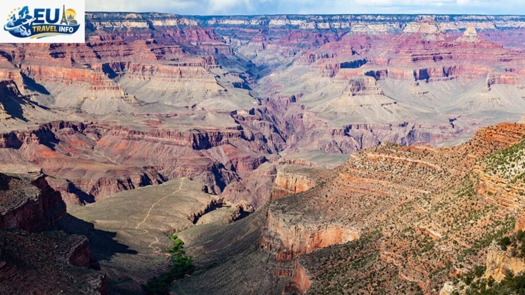 Primeval Forests and the Great Canyon