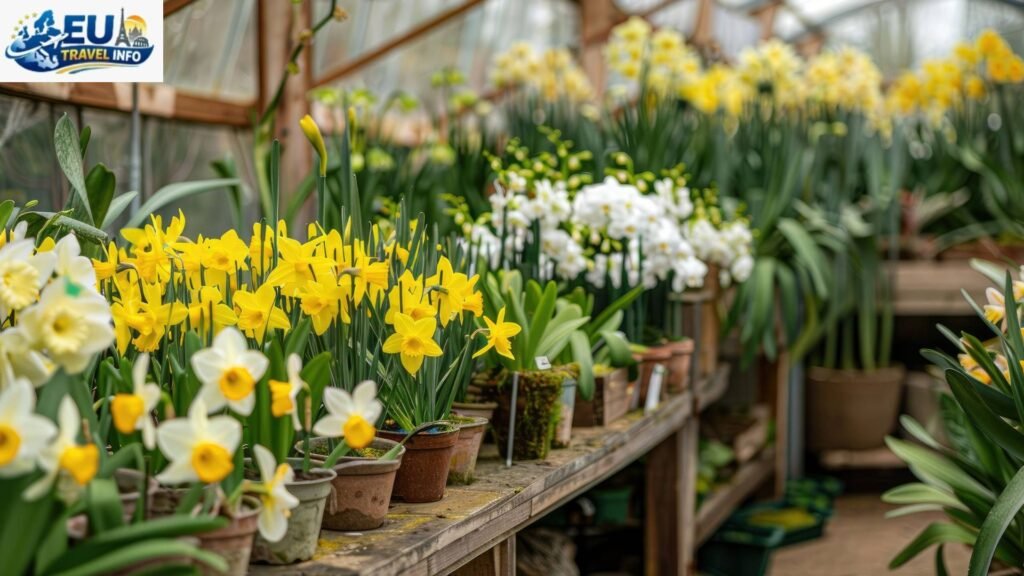 Spring Magic Blooms and Greenhouses