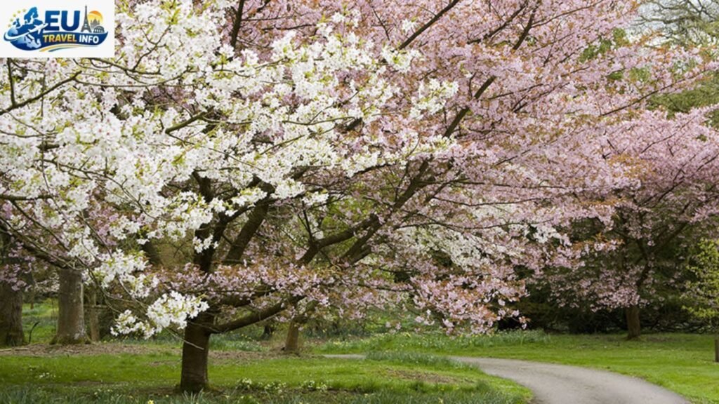 Spring New Life and Hidden Gardens