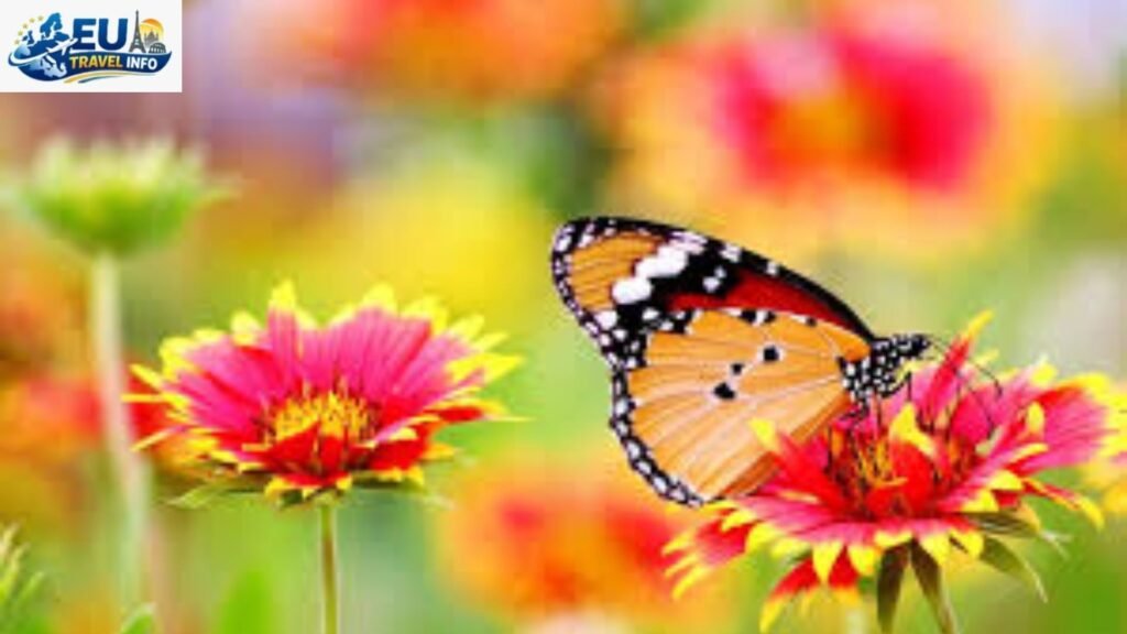 Spring The Awakening of Nature