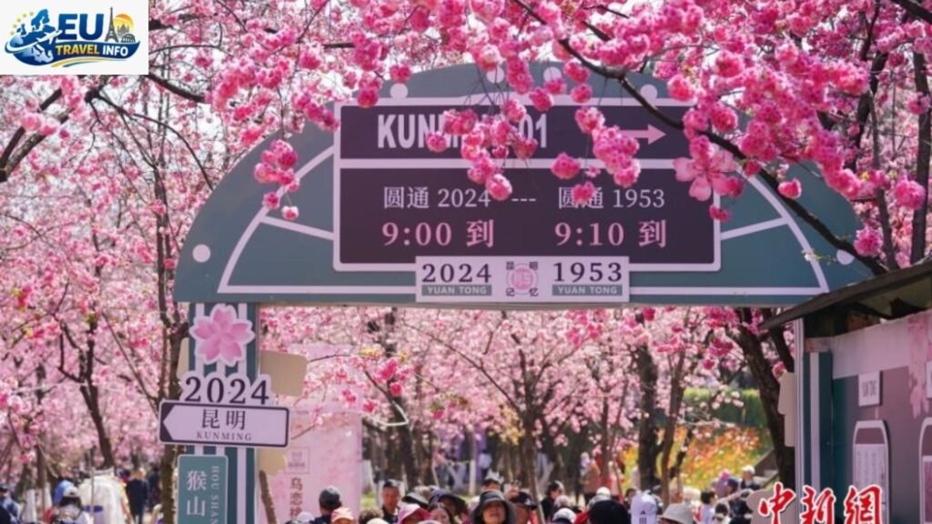 Spring The City in Bloom