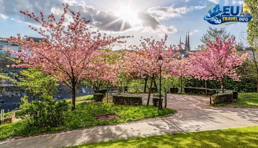 Spring The City in Bloom