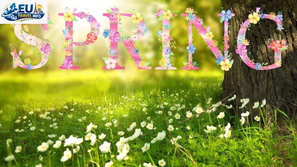 Spring The Sweet Spot (March to May) (1)