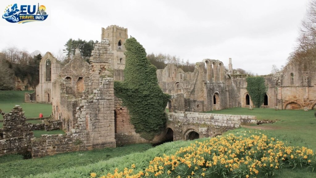 Spring The Time Of Flowers And Ruins
