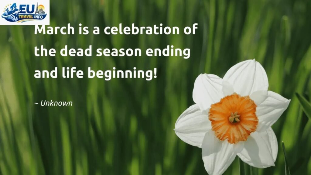 Springtime A Burst of Life (March to May)