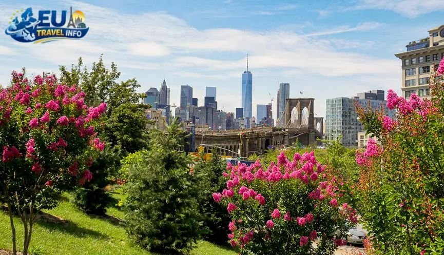Springtime Magic Watching the Land Wake Up