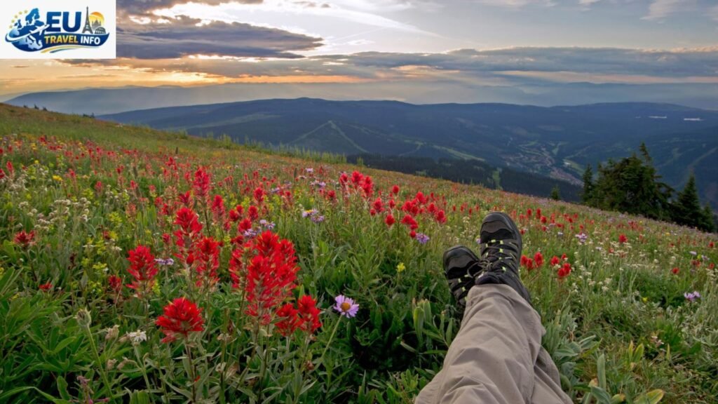 Summer Peaks June to September