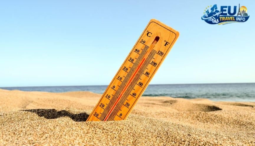 Summer Surviving the Heat