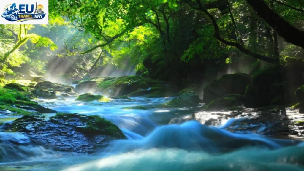 Summer The Lively Peak (June – August)