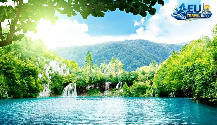 Summer The Peak Season for Sun and Greenery