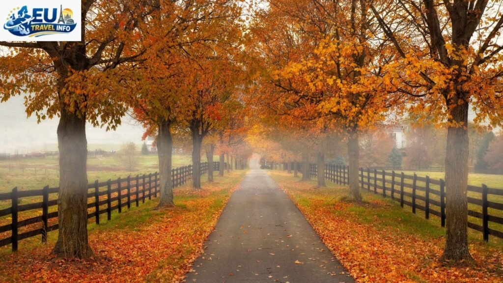 The Beauty of Autumn