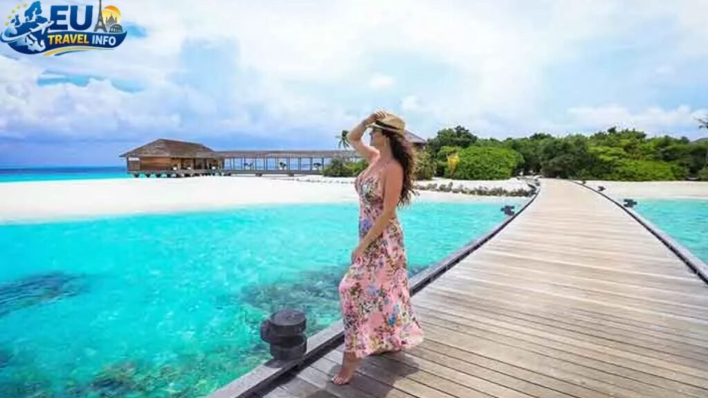 The Best Time to Plan Your Visit in 2026