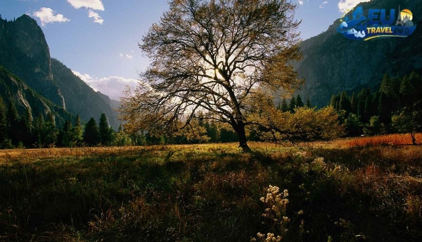 The Big Picture Seasonal Secrets