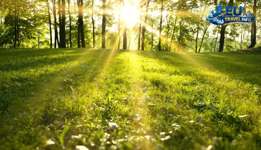 The Big Picture Seasons in the Sun