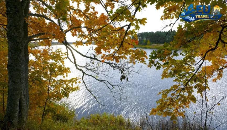 The Golden Windows of Spring and Autumn
