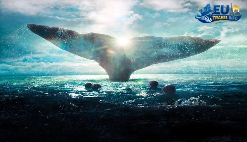 The Heart of the Coast