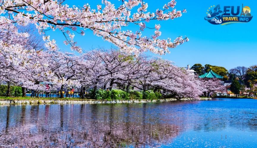 The Magic of Spring March to May