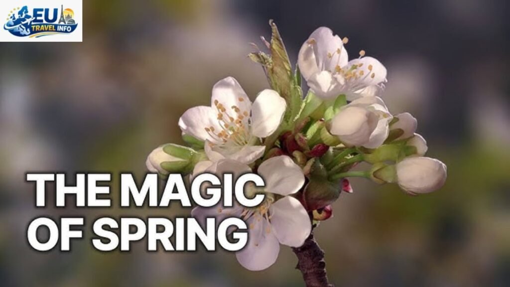The Magic of Spring (March – May)