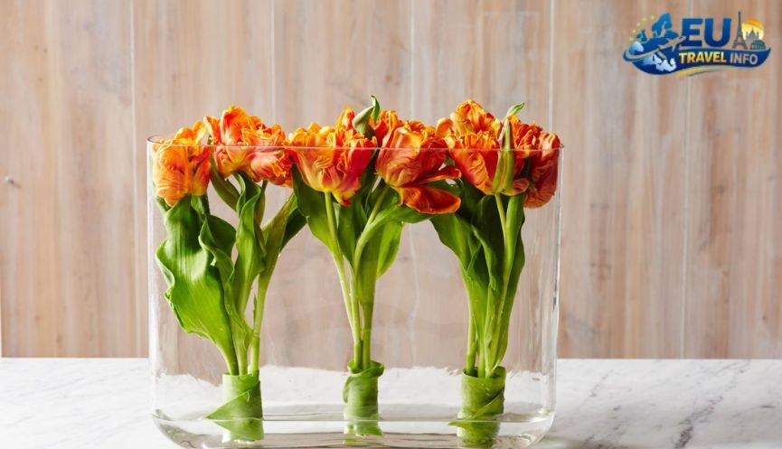 The Magic of Spring Tulips and Orange Parties