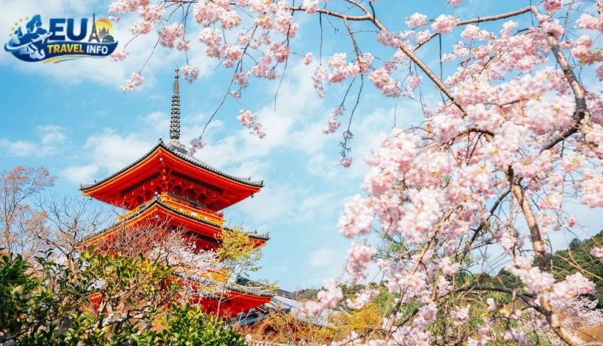 The Magic of Springtime