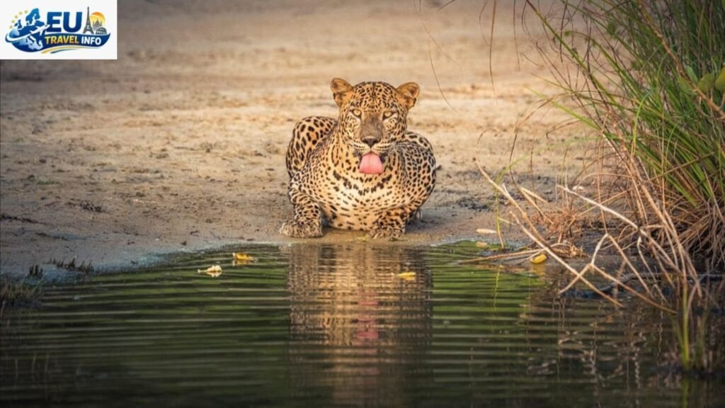 The Magic of the Shoulder Season