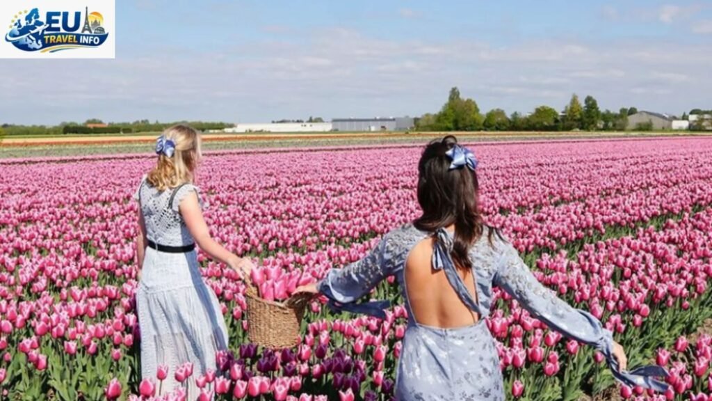 The Magic of the Tulip Season