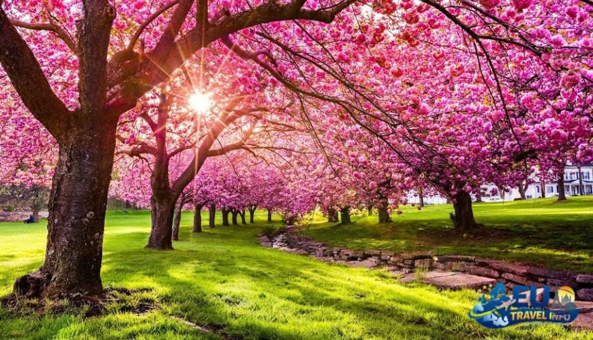 The Perfect Seasons Spring and Fall