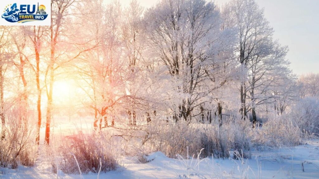 The Quiet Winter (November to February)