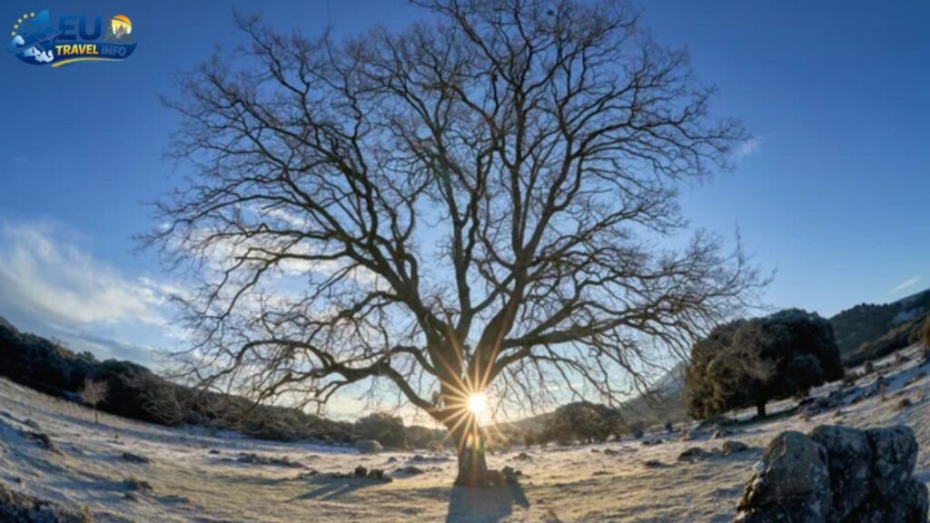 The Reality of Winter Daylight