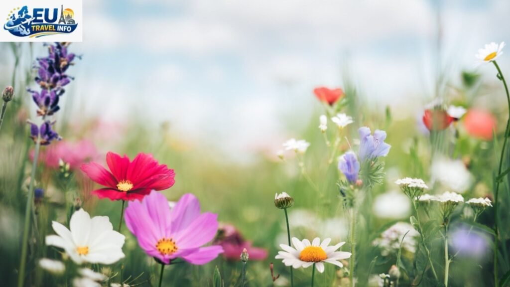 The Season of New Beginnings