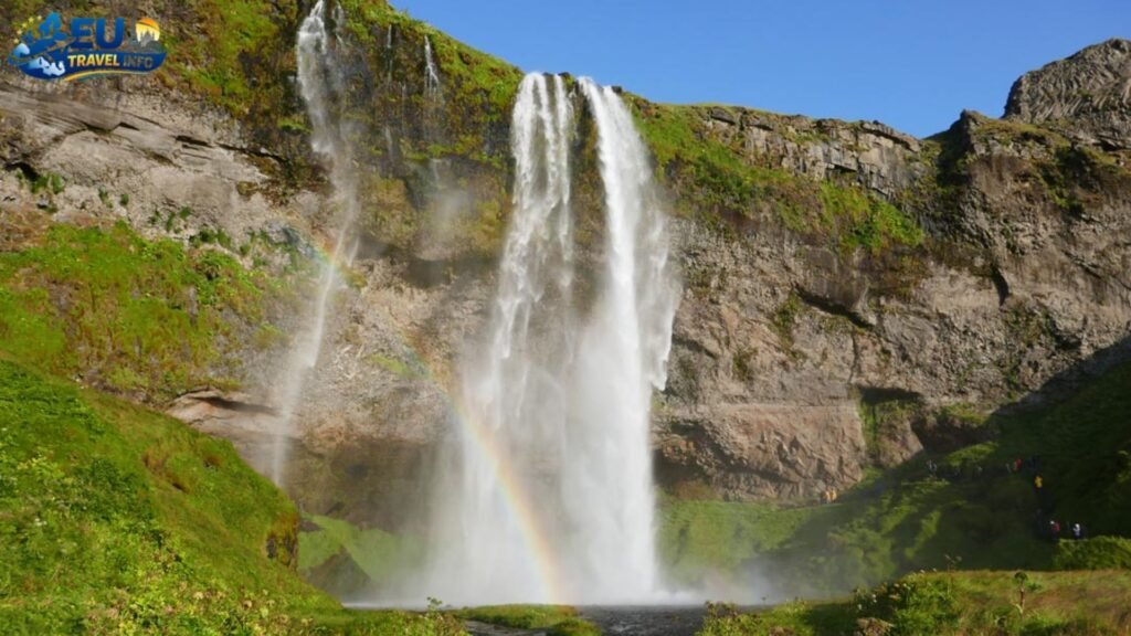 The South Coast Wonders