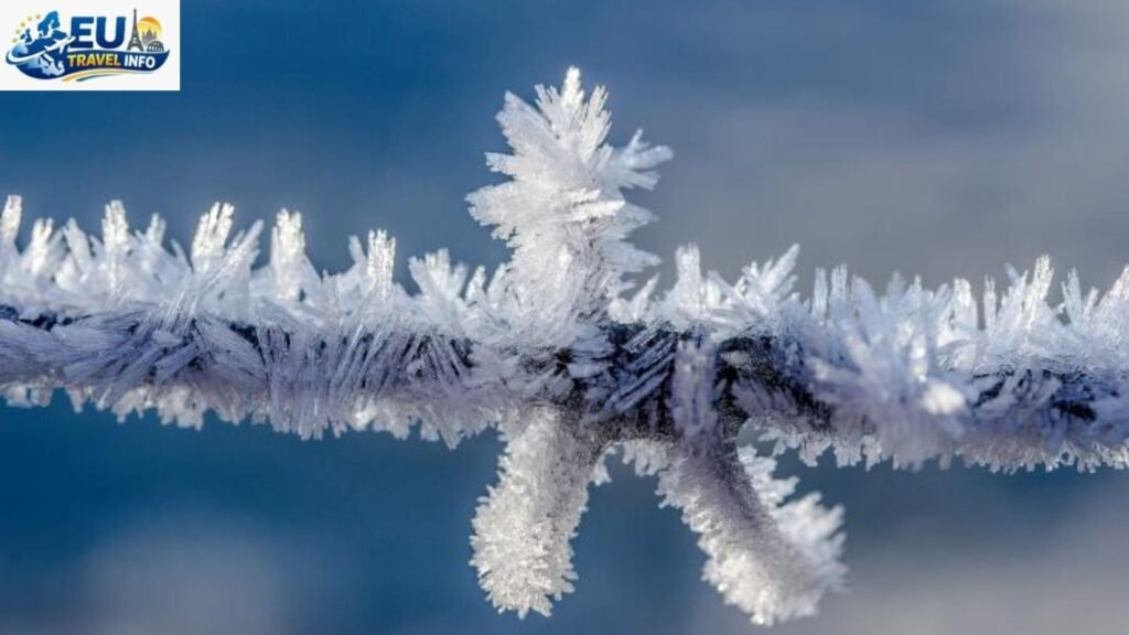 The Sparkling Frost Winter (December to February)