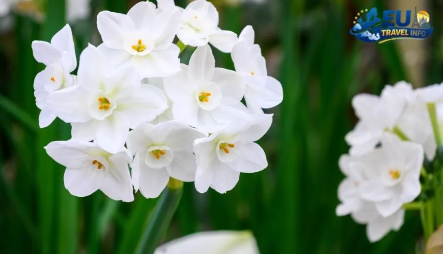 The Sweet Spot Spring and Fall