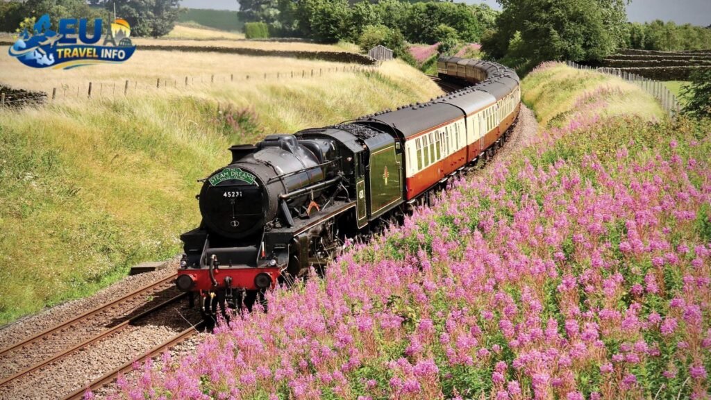 The Two-Week Train Dream