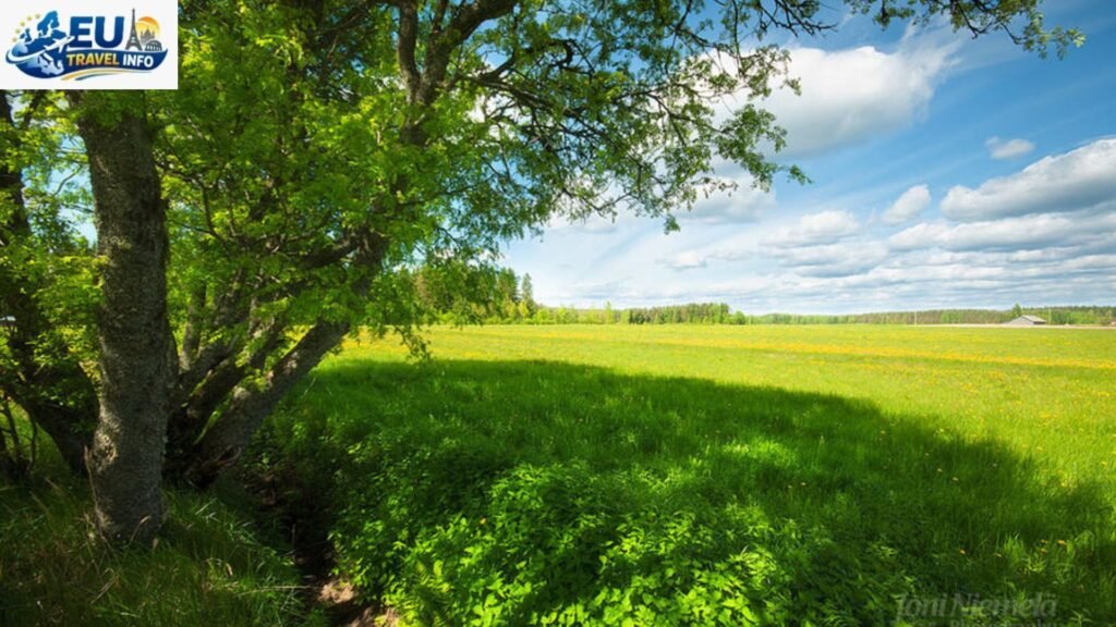 The Warmth of Summer Days