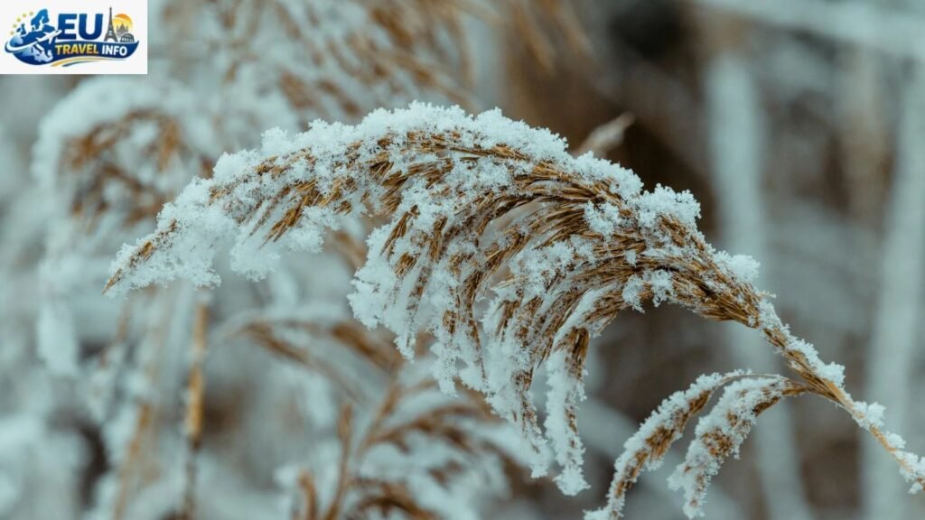 The White Magic of Winter June to August