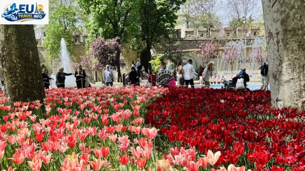 Tulip Fever in Istanbul
