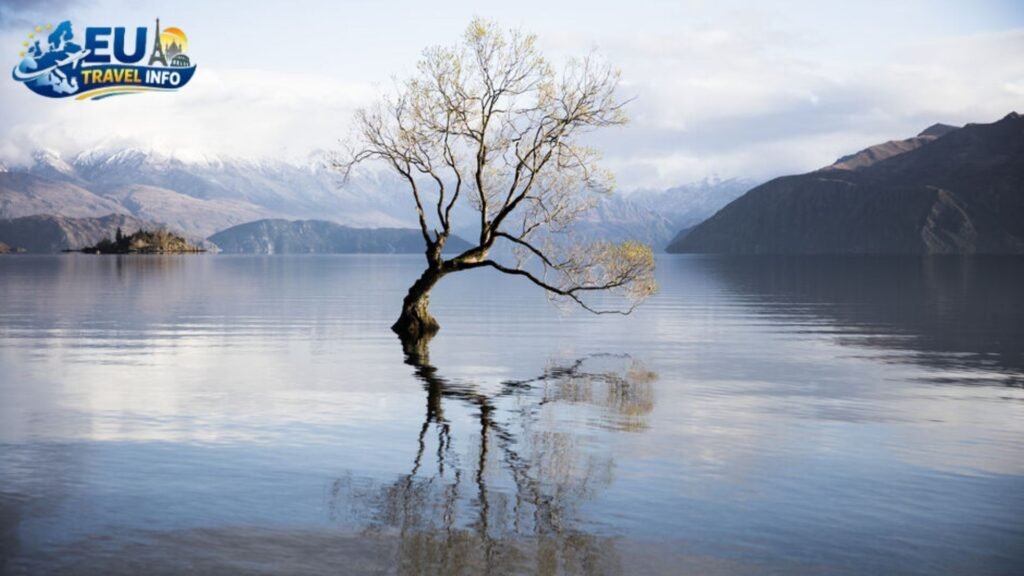 Week 2 Mountains and Magic