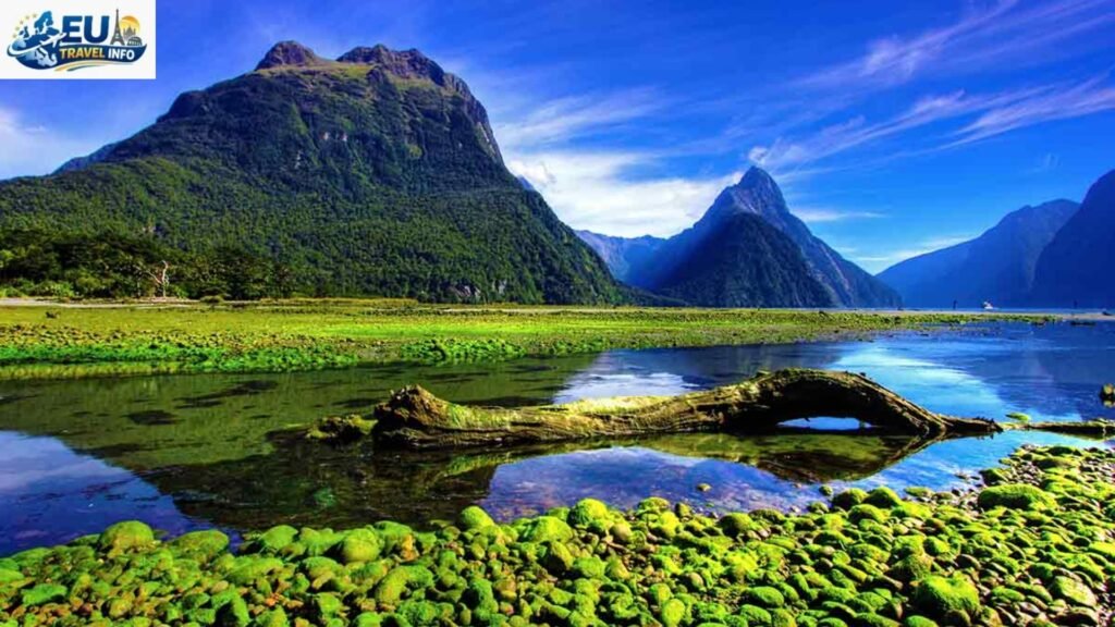 When Is The Best Time to Visit New Zealand