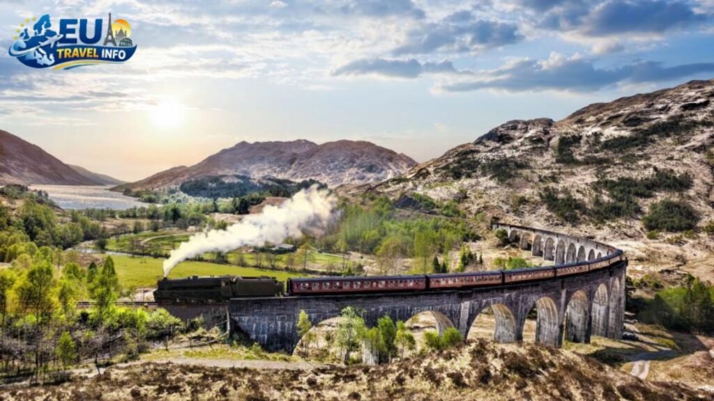 Why You Should Choose a Train Adventure
