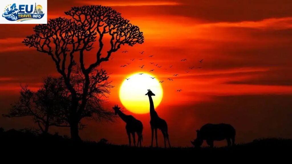 Wildlife and Special Sights