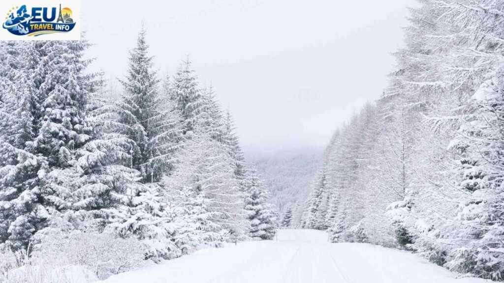 Winter A Snowy Wonderland