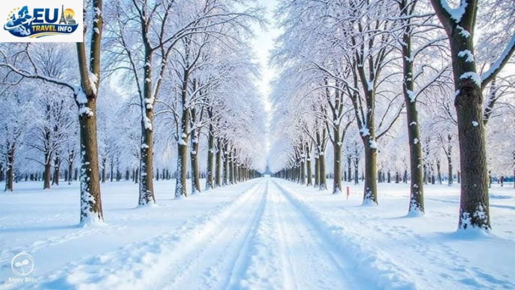 Winter Peace December to February