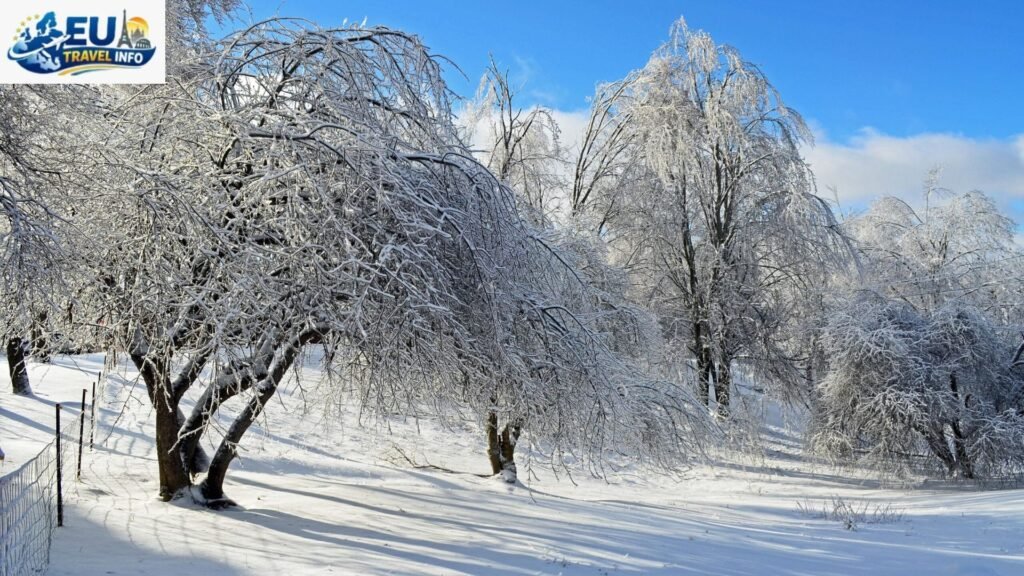 Winter Quiet Charm and Great Value